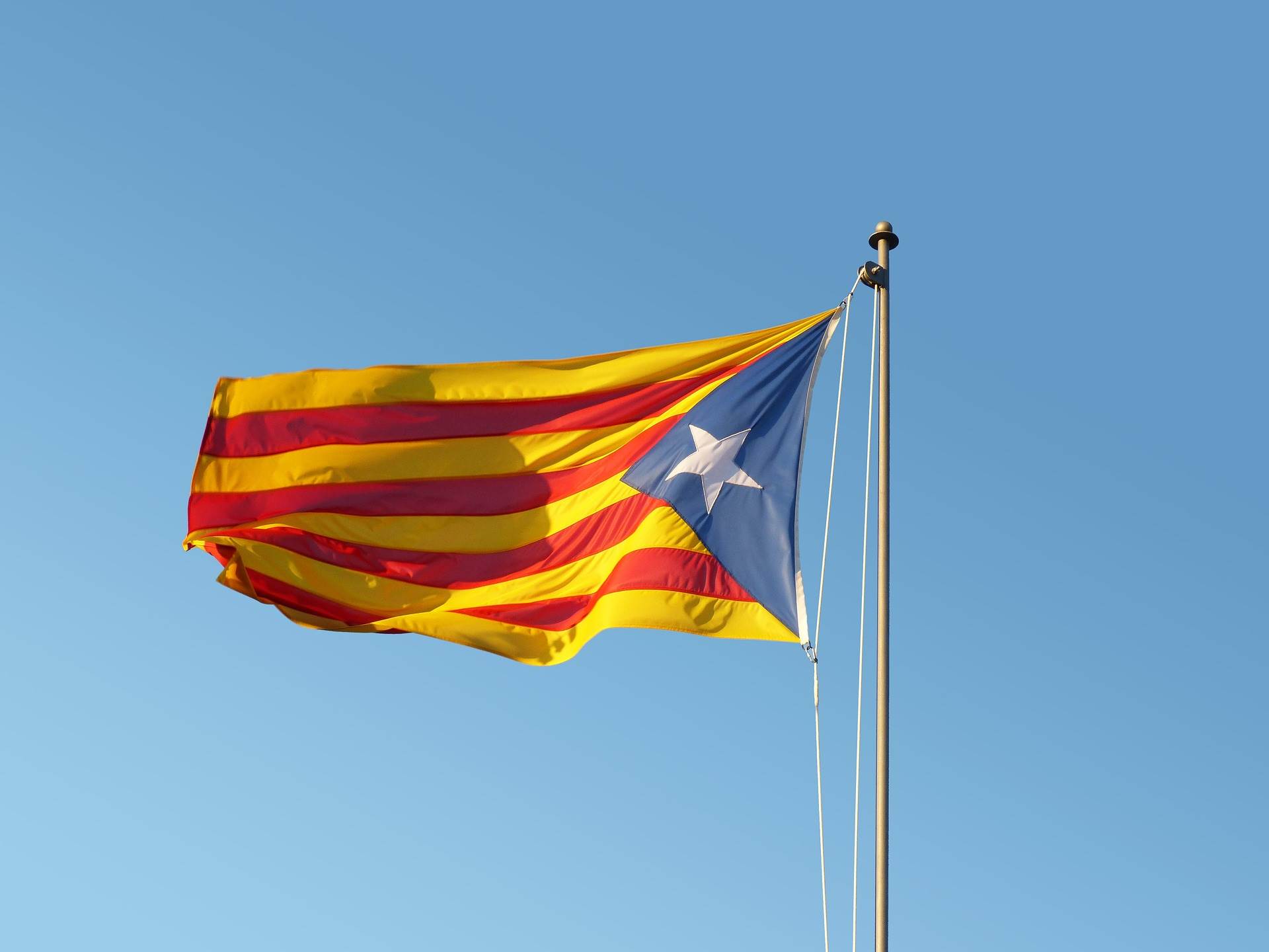 flag-ge939a0e5c_1920.jpg flag-ge939a0e5c_1920.jpg