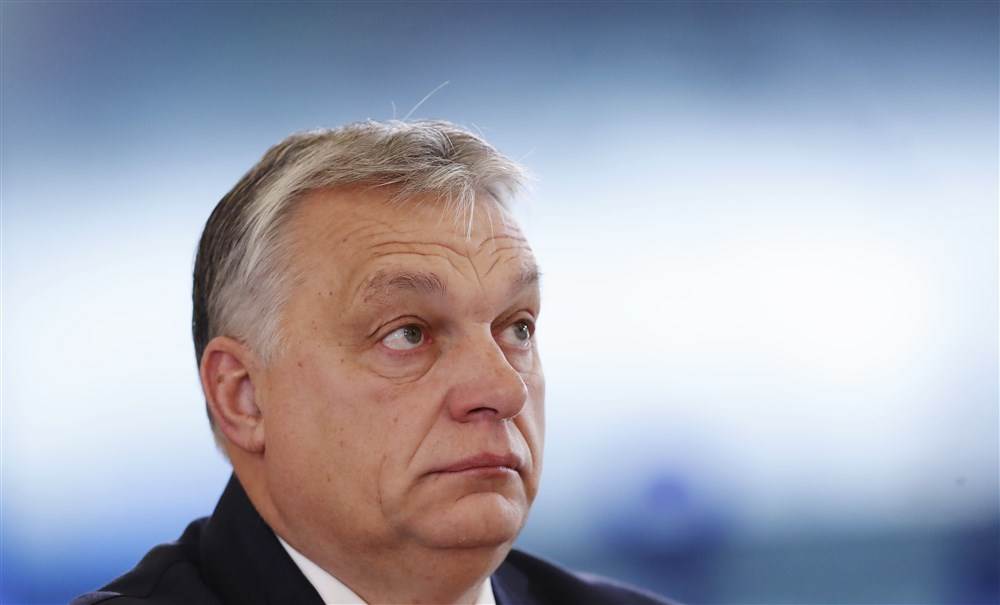 11200228.jpg   11200228.jpg