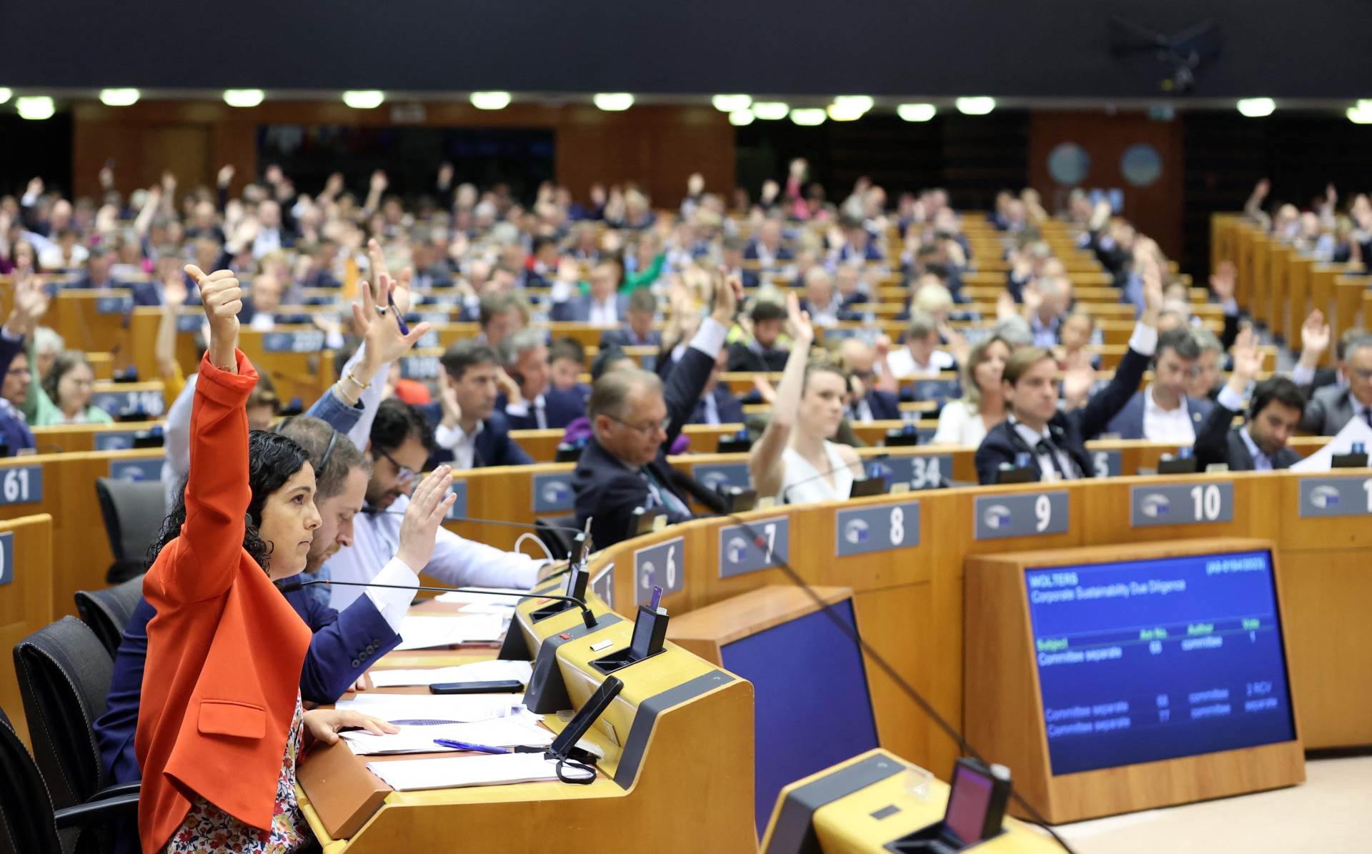  glasanje u Europskom parlamentu 