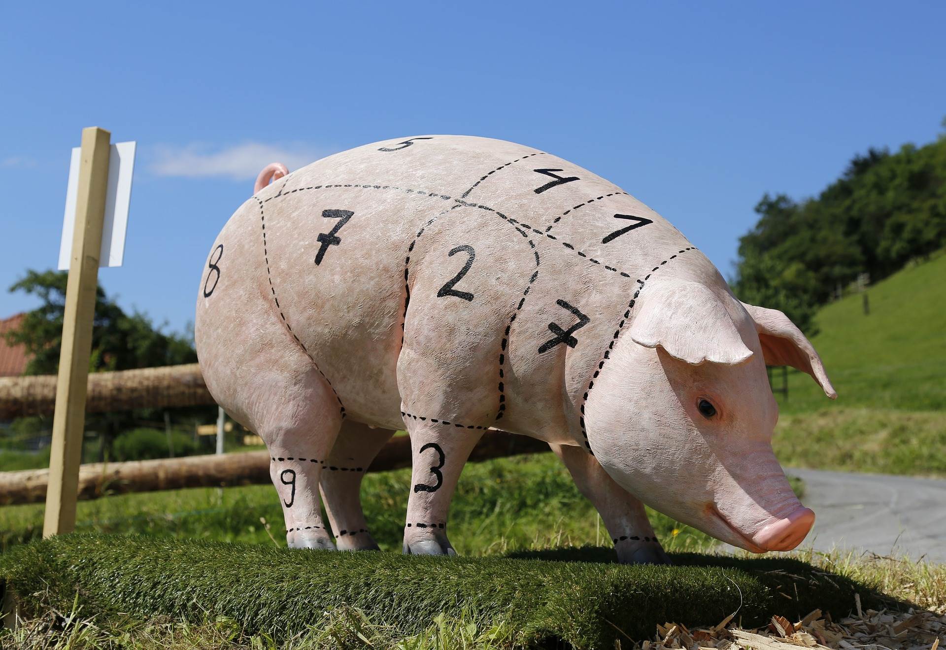 pig-1805416_1920.jpg pig-1805416_1920.jpg