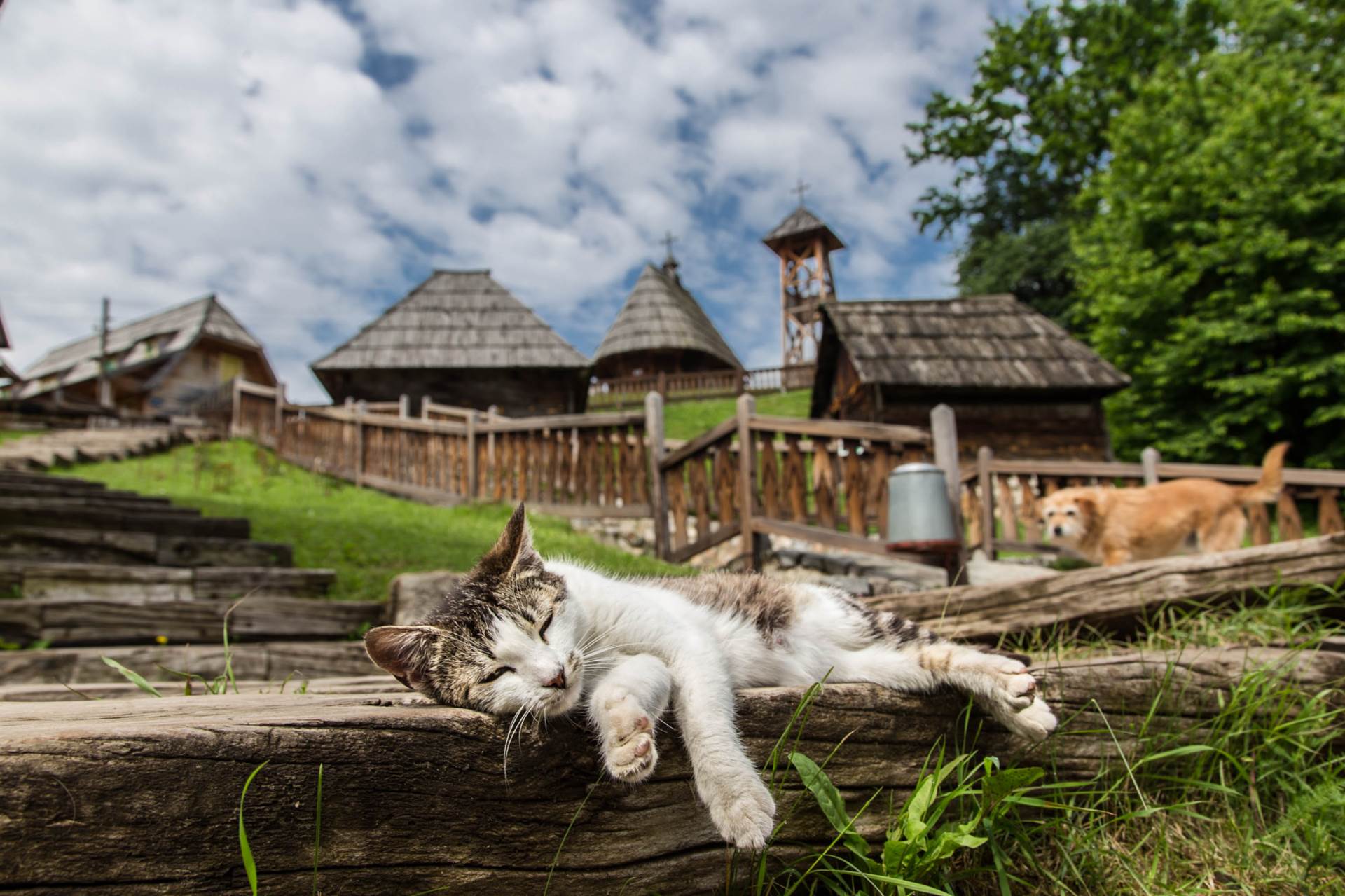 Drago Stojnić, najbolja fotografija u kategoriji selo   Drago Stojnić, najbolja fotografija u kategoriji selo
