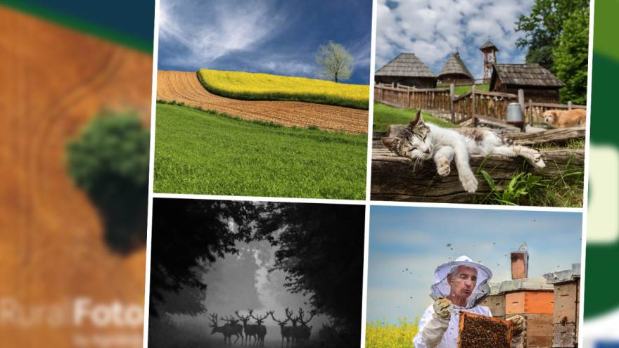 kolaž nagrađenih ruralnih fotografija za 2023. godinu   kolaž nagrađenih ruralnih fotografija za 2023. godinu