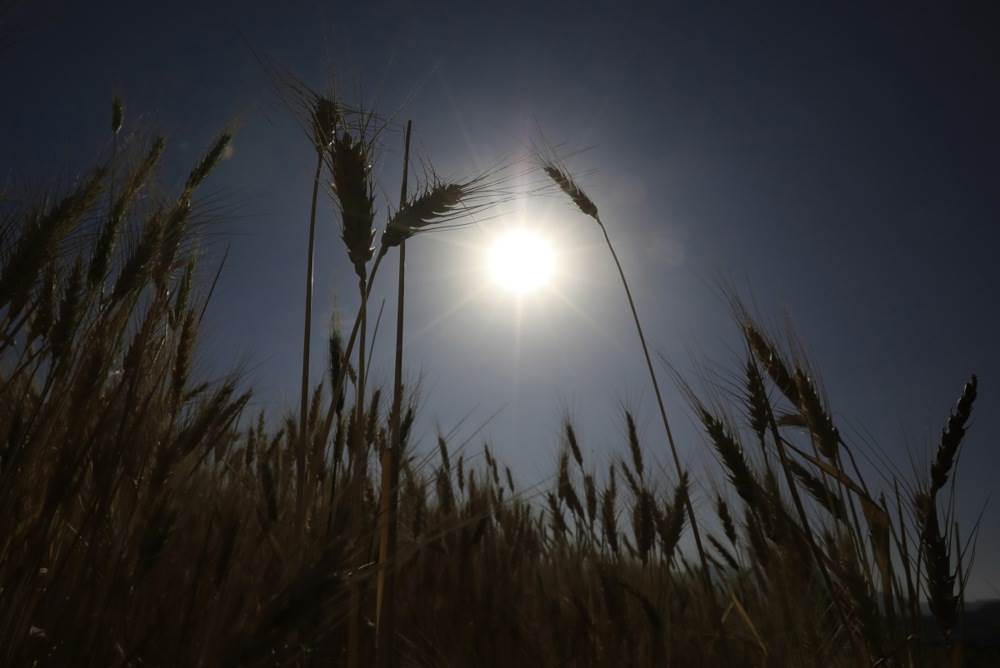 11860826.jpg   11860826.jpg