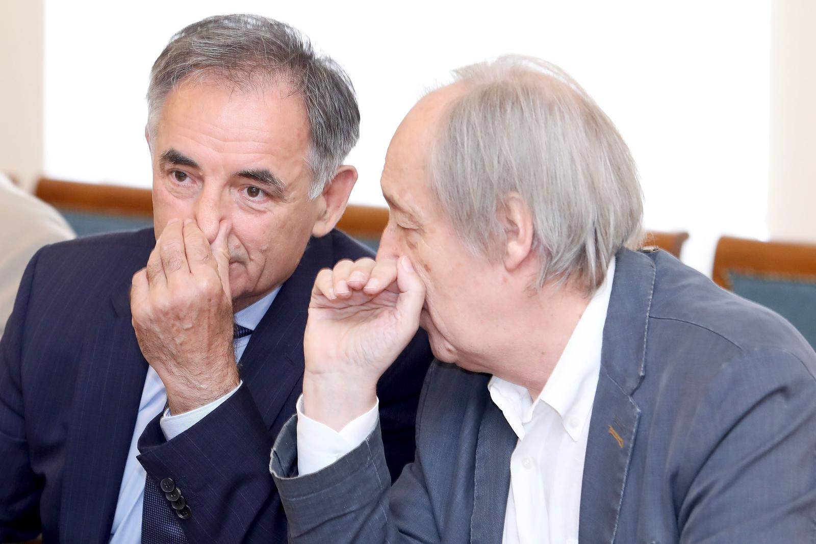 Milorad Pupovac i Furio Radin Milorad Pupovac i Furio Radin