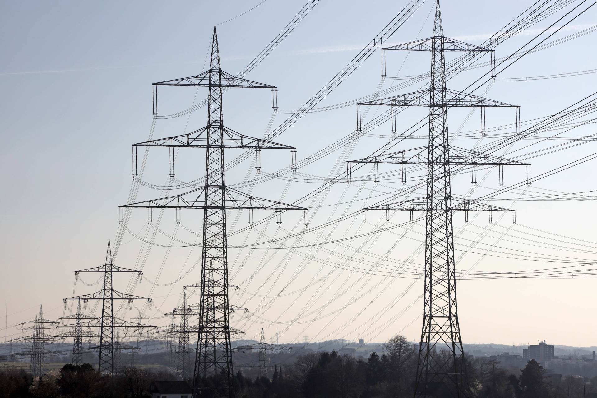 profimedia-0855035135.jpg   profimedia-0855035135.jpg