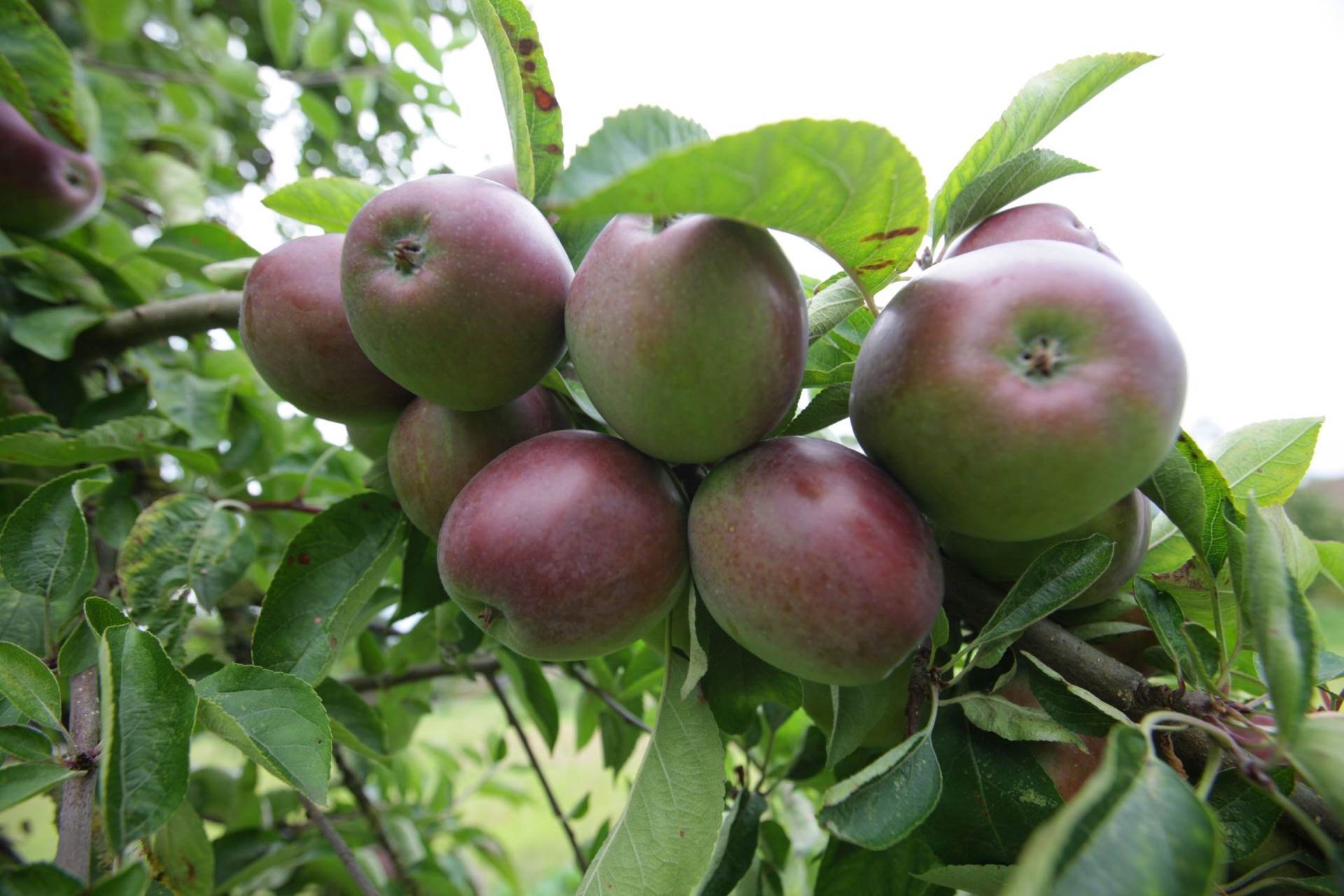 profimedia-0161826700.jpg   profimedia-0161826700.jpg