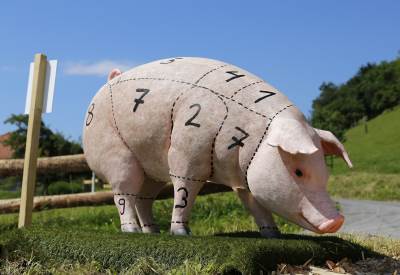 pig-1805416_1920.jpg pig-1805416_1920.jpg