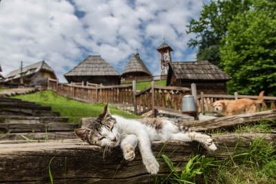 Drago Stojnić, najbolja fotografija u kategoriji selo  Drago Stojnić, najbolja fotografija u kategoriji selo