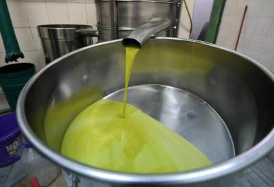 proizvodnja maslinova ulja 