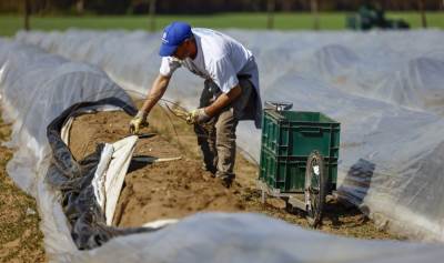 11427674.jpg  11427674.jpg