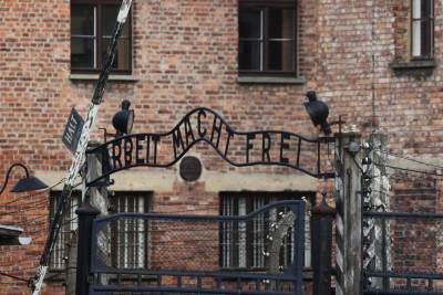 profimedia-0846970722.jpg  profimedia-0846970722.jpg