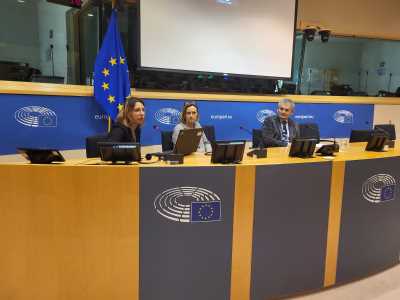 Sanja Pavić ispred Gonga izlaže u Europskom parlamentu.jpeg Sanja Pavić ispred Gonga izlaže u Europskom parlamentu.jpeg