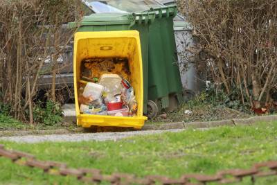 PXL_040223_98119919.jpg  PXL_040223_98119919.jpg